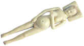 anatomical model, Zick, replica.1.jpg (41024 bytes)