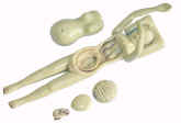 anatomical model, Zick, replica.5.jpg (42946 bytes)
