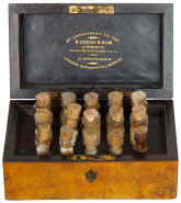 homeopathic_set_Gould_case_open.jpg (79572 bytes)