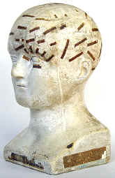 phrenology_bust_S.R._Wells_c._1875.jpg (121538 bytes)