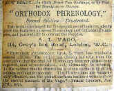 phrenology, bust, Vago, detail of label.jpg (92022 bytes)