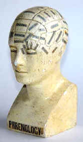 phrenology, bust, Vago.jpg (45878 bytes)