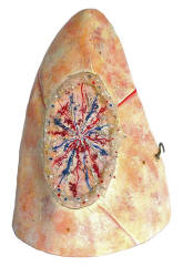 http://antiquescientifica.com/anatomical%20model,%20Auzoux,%20heart%20and%20lung,%20lung,%20anterior,.jpg